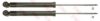 TRW JGT1310T Shock Absorber